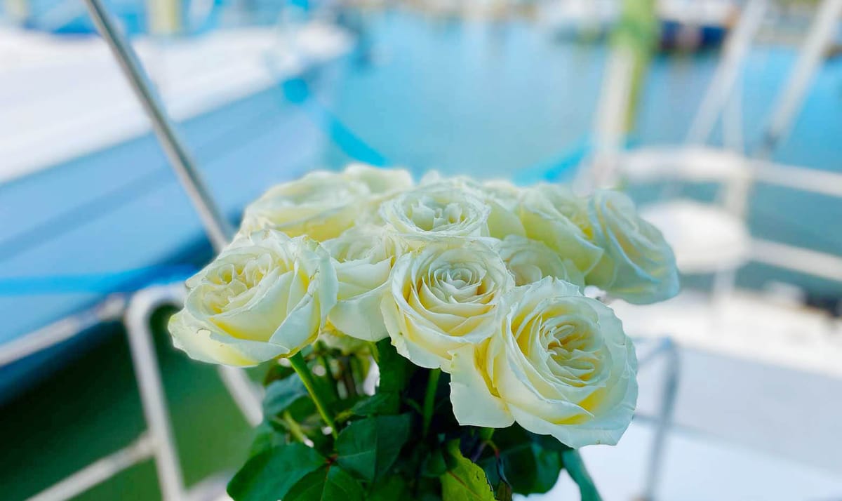 Corinne: This whirlwind romance was no accident