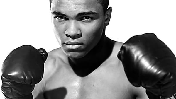 Investors can’t survive AI’s one-two punch