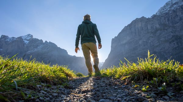 Earnings will show a different path to ROI for AI